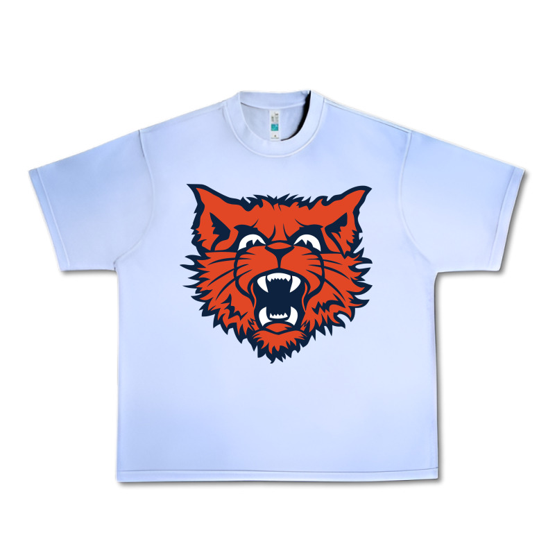 Evanston Township High School Urban Heavy Tee by linhVisuals | Teevron