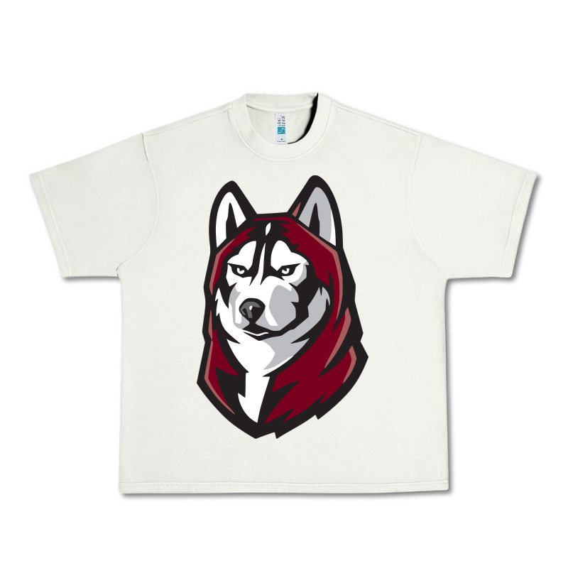Bloomsburg Huskies Urban Heavy Tee by linhVisuals | Teevron