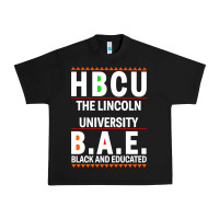 Hbcu The Lincoln University Black And Educated Black Classic Urban Heavy Tee | Teevron
