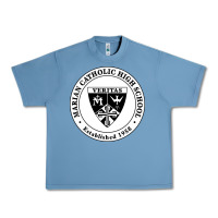 Pebble Blue marian catholic high school Urban Heavy Tee - linhVisuals