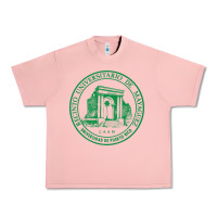 Salmon University of Puerto Rico Mayagüez Urban Heavy Tee - linhVisuals