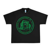 Black University of Puerto Rico Mayagüez Urban Heavy Tee - linhVisuals