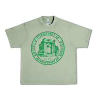 Oil Green University of Puerto Rico Mayagüez Urban Heavy Tee - linhVisuals