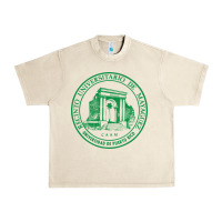 Sandshell University of Puerto Rico Mayagüez Urban Heavy Tee - linhVisuals