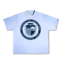 Grape Ice Regis University Urban Heavy Tee - linhVisuals