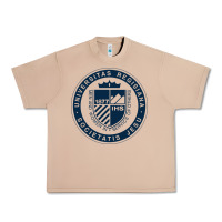 Burro Regis University Urban Heavy Tee - linhVisuals