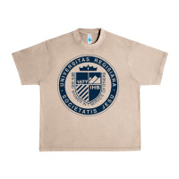 French Oak Regis University Urban Heavy Tee - linhVisuals