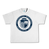 Lunar Rock Regis University Urban Heavy Tee - linhVisuals
