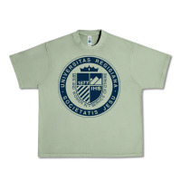 Oil Green Regis University Urban Heavy Tee - linhVisuals