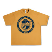 Peanut Butter Regis University Urban Heavy Tee - linhVisuals