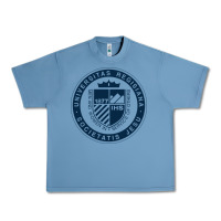 Pebble Blue Regis University Urban Heavy Tee - linhVisuals