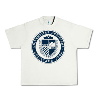 Pistachio Regis University Urban Heavy Tee - linhVisuals