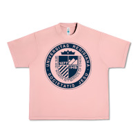 Salmon Regis University Urban Heavy Tee - linhVisuals
