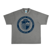 Tornado Regis University Urban Heavy Tee - linhVisuals