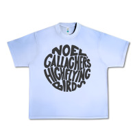 Grape Ice noel gallagher's high flying birds classic Urban Heavy Tee - linhVisuals