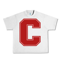 Lunar Rock cornell big red Urban Heavy Tee - linhVisuals