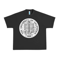 Pigment Black university of california Urban Heavy Tee - linhVisuals
