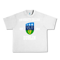 Lunar Rock university college dublin Urban Heavy Tee - linhVisuals
