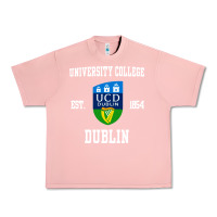 Salmon university college dublin Urban Heavy Tee - linhVisuals