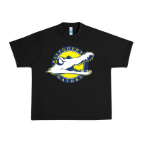 Black allegheny merch Urban Heavy Tee - linhVisuals