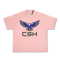 Salmon cold springs high school Urban Heavy Tee - linhVisuals
