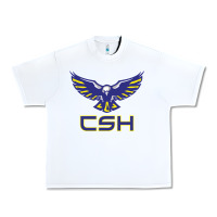 White cold springs high school Urban Heavy Tee - linhVisuals