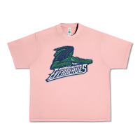 Salmon florida everblades Urban Heavy Tee - linhVisuals