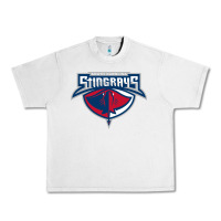 Lunar Rock south carolina stingrays Urban Heavy Tee - linhVisuals