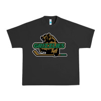 Pigment Black utah grizzlies Urban Heavy Tee - linhVisuals