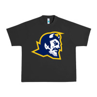 Mt Lebanon High School Urban Heavy Tee | Teevron