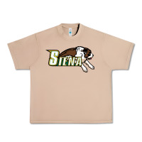 Burro The Siena Saints Urban Heavy Tee - linhVisuals