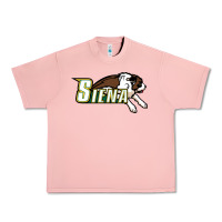Salmon The Siena Saints Urban Heavy Tee - linhVisuals