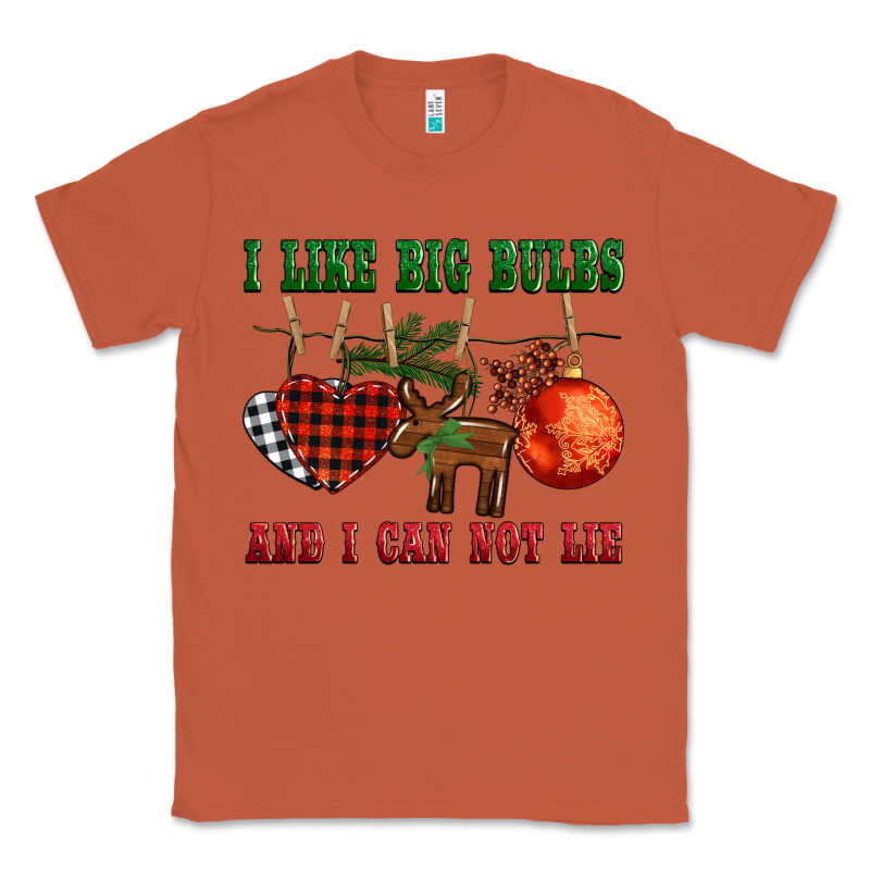 I Like Big Bulbs And I Can Not Lie Classic Tee by BarkalooDesign | Teevron