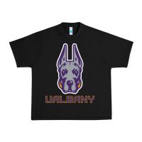 Black Ualbany Great Danes Urban Heavy Tee - linhVisuals