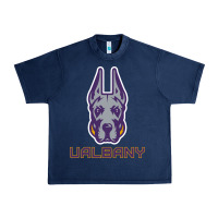 Navy Ualbany Great Danes Urban Heavy Tee - linhVisuals