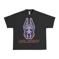 Pigment Black Ualbany Great Danes Urban Heavy Tee - linhVisuals