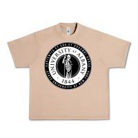 Burro University Albany Suny Urban Heavy Tee - linhVisuals