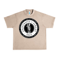 University Albany Suny Urban Heavy Tee | Teevron