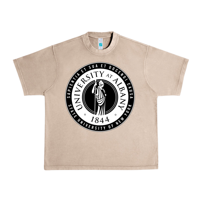 University Albany Suny Urban Heavy Tee by linhVisuals | Teevron