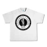 Lunar Rock University Albany Suny Urban Heavy Tee - linhVisuals