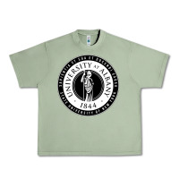 Oil Green University Albany Suny Urban Heavy Tee - linhVisuals