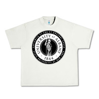 Pistachio University Albany Suny Urban Heavy Tee - linhVisuals