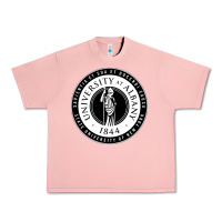 Salmon University Albany Suny Urban Heavy Tee - linhVisuals