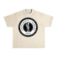 Sandshell University Albany Suny Urban Heavy Tee - linhVisuals
