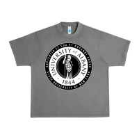 Tornado University Albany Suny Urban Heavy Tee - linhVisuals