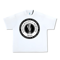 White University Albany Suny Urban Heavy Tee - linhVisuals
