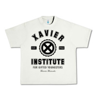 Pistachio xavier institute Urban Heavy Tee - linhVisuals