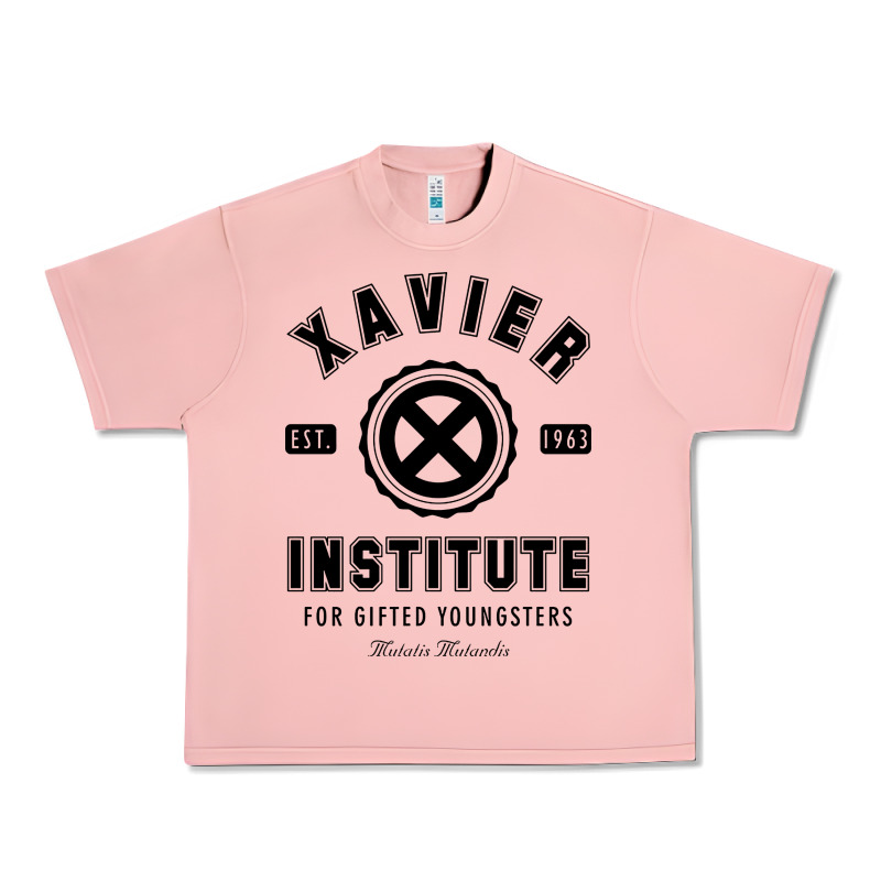 Xavier Institute Urban Heavy Tee by linhVisuals | Teevron