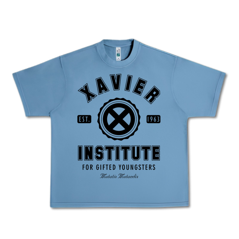 Xavier Institute Urban Heavy Tee by linhVisuals | Teevron