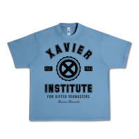 Pebble Blue xavier institute Urban Heavy Tee - linhVisuals